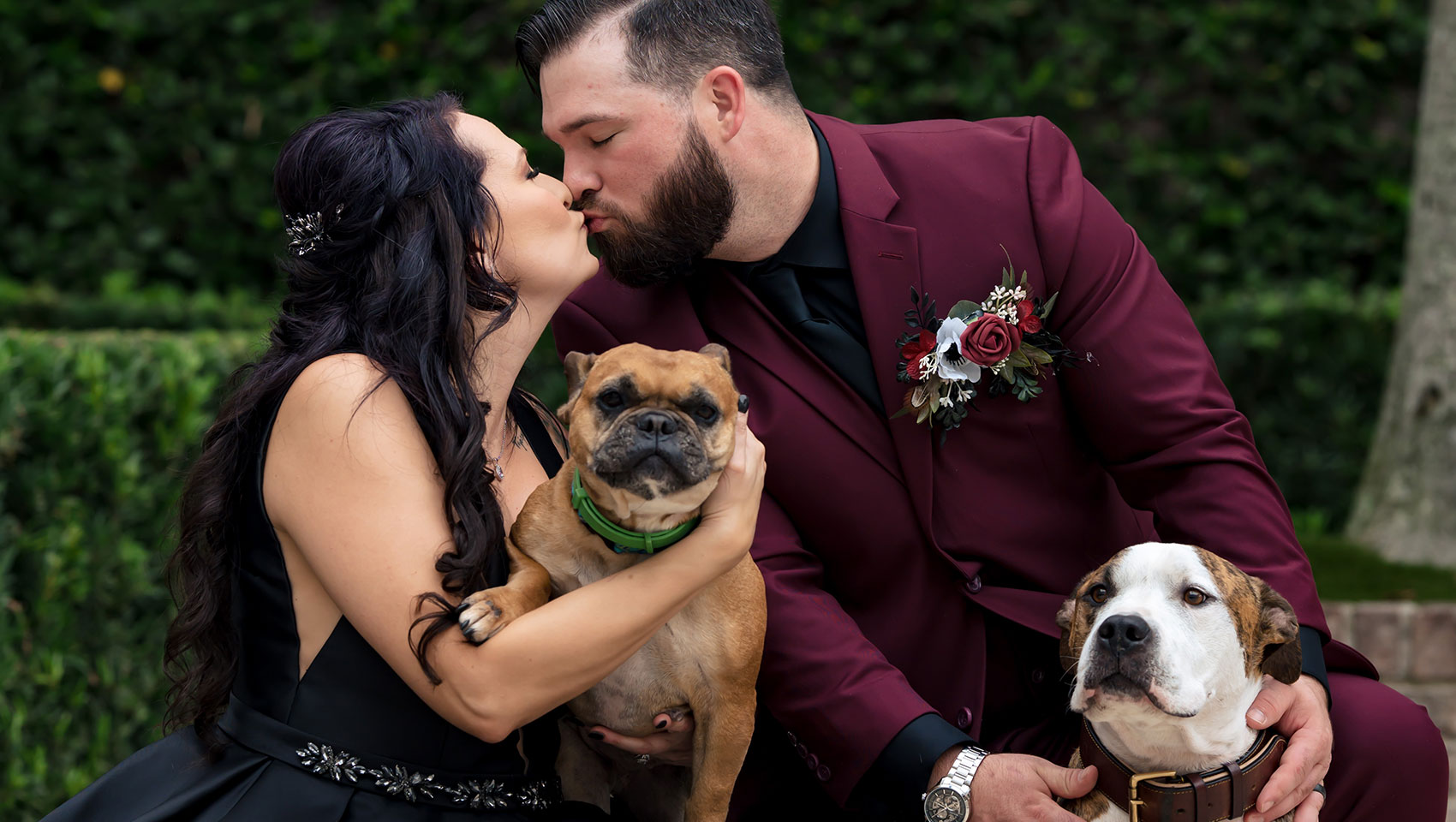 Couple and their dogs